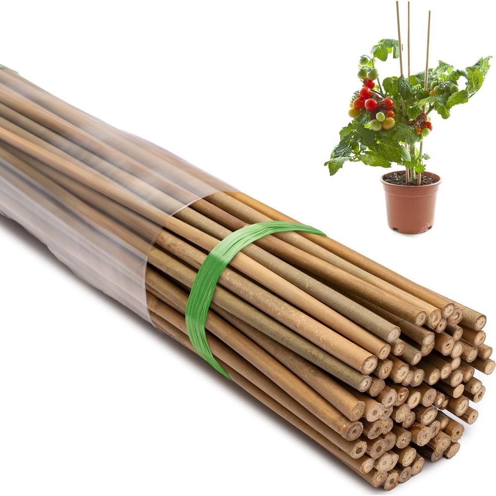 Plant Support Stake - 70-Pak Tiang Tanaman Bambu Alami 4