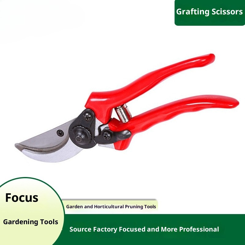 Gardening Tools Quality - Gunting Pangkas Cangkok Premium Kualitas Impor,