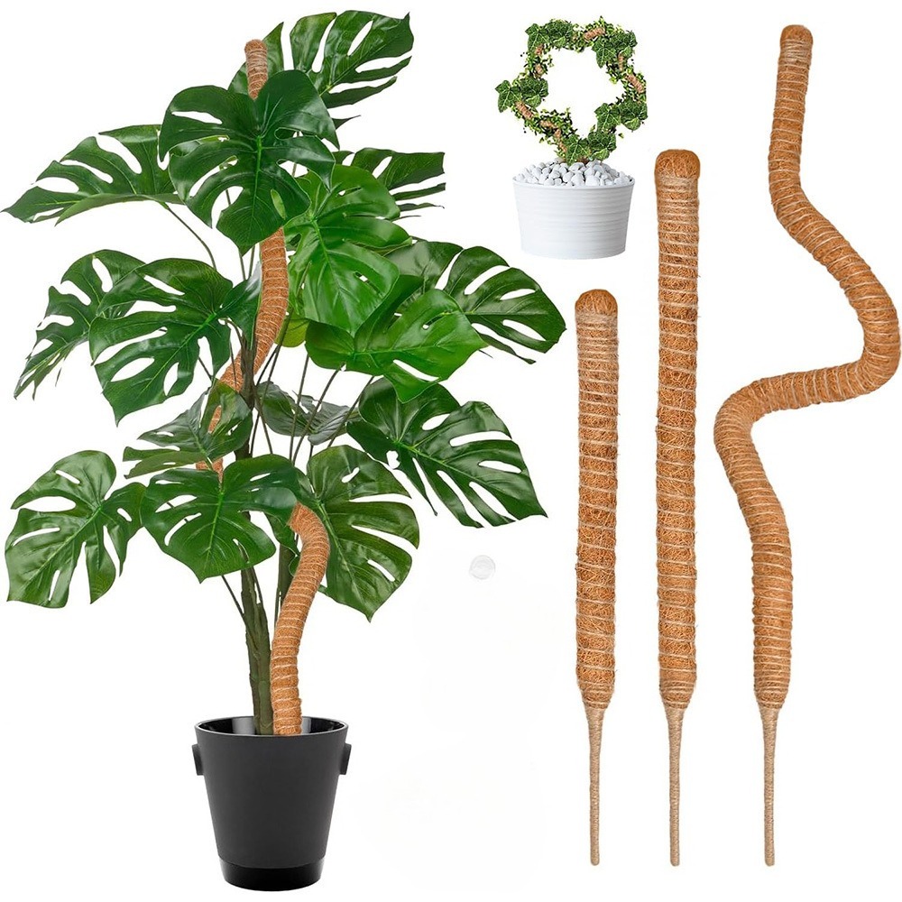 Plant Support Stake - Tiang Penyangga Tanaman Panjat dari Sabut
