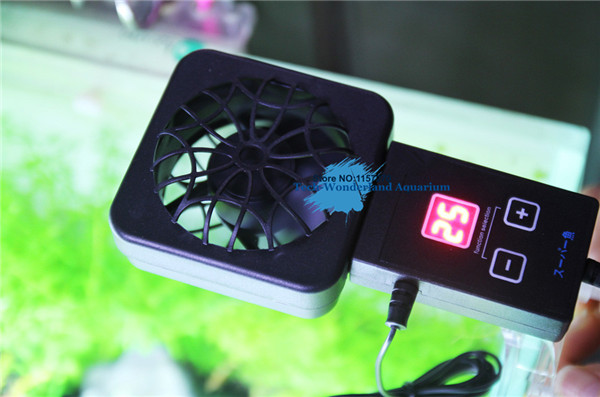 Aquaponics Fish Tank - Mini nano klip menggantung pada kipas