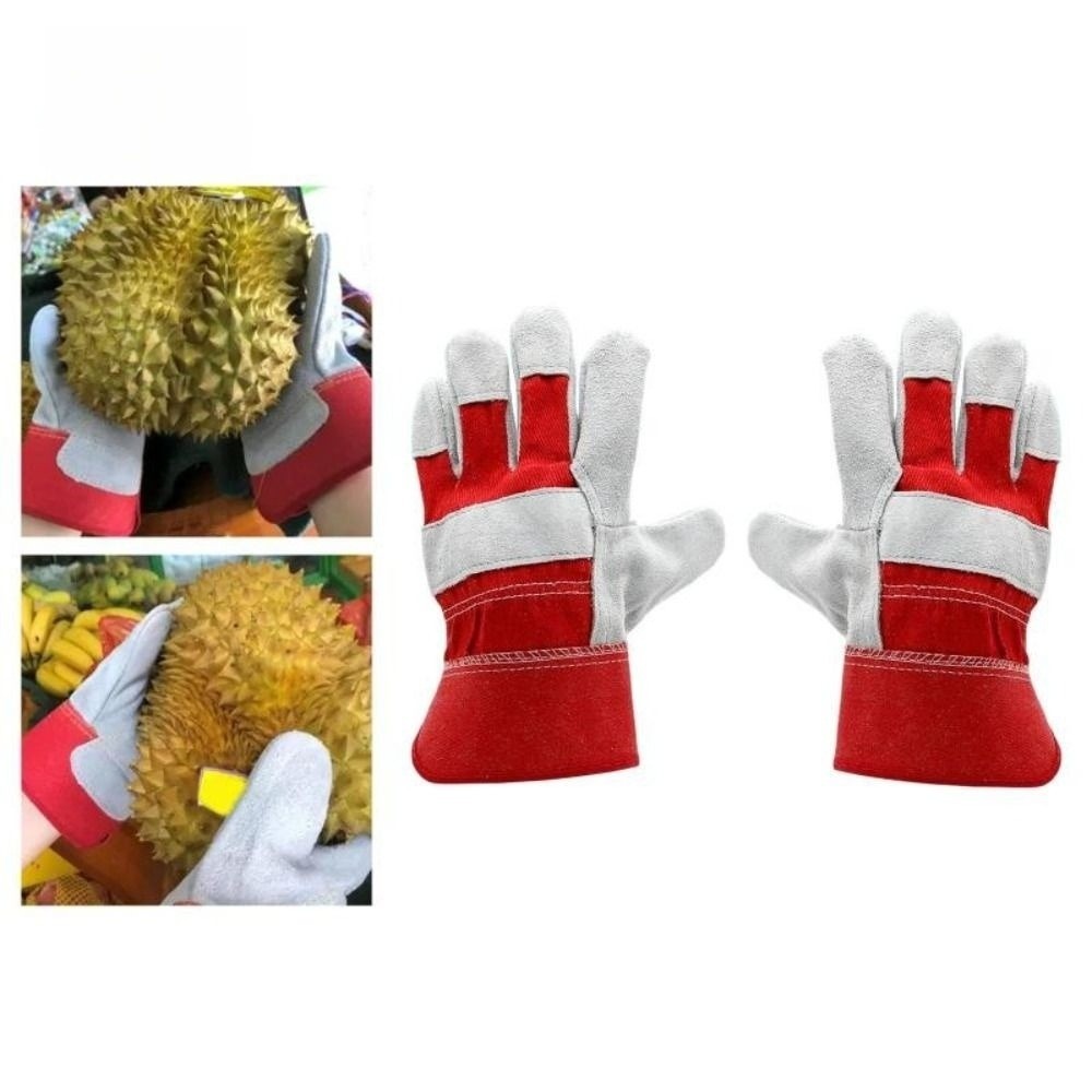 Garden Gloves Thorn Proof - Sarung Tangan Berkebun Kulit Sapi Tahan
