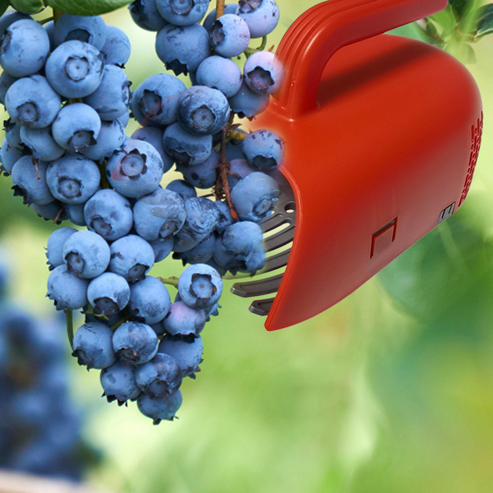 Gardening Tools Rake - Alat Pemetik Berry dengan Gagang Ergonomis,