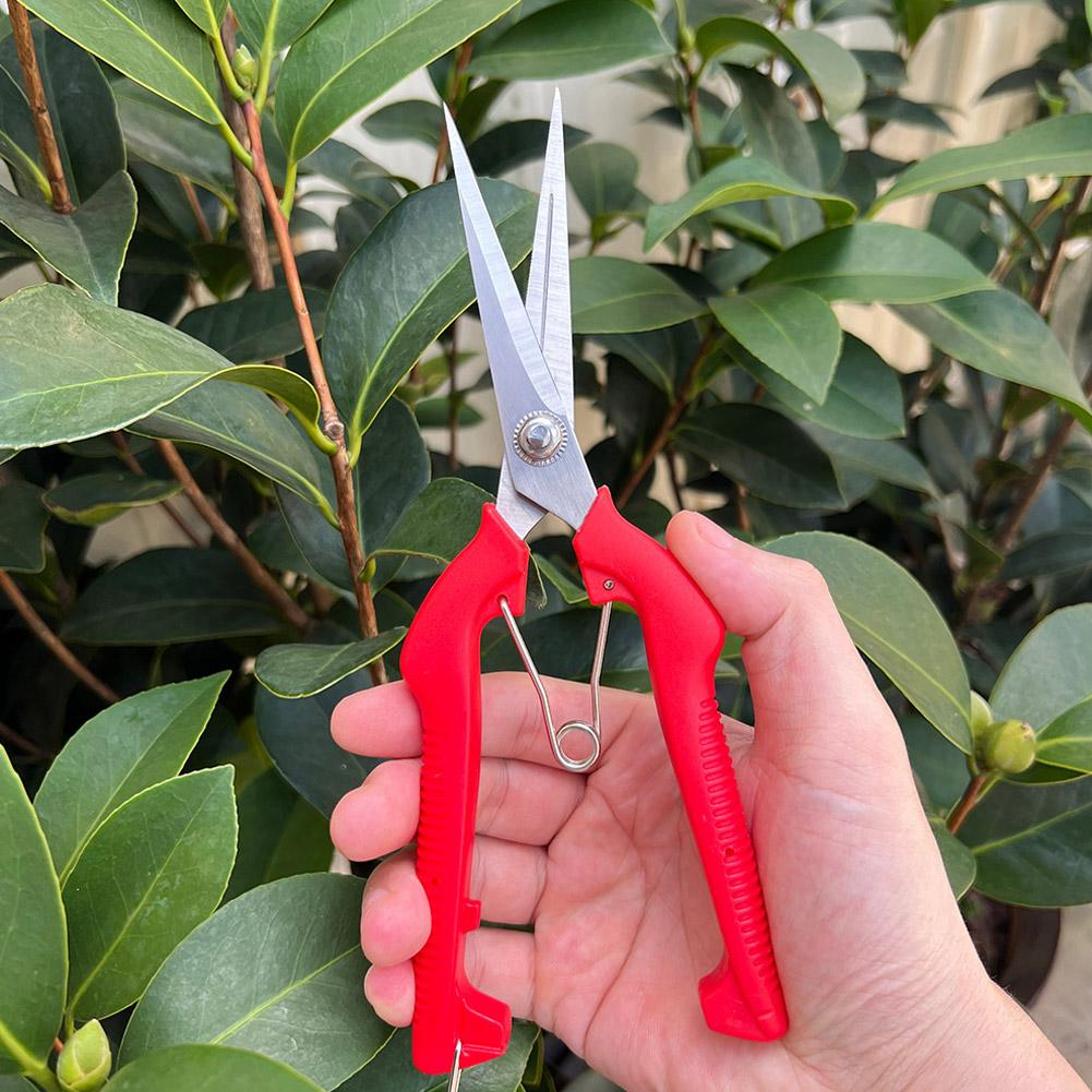 Gardening Tools Wholesale - Gunting Pangkas Taman Pro Garden, Gunting