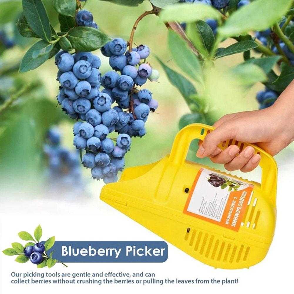 Gardening Tools Rake - Alat Pemetik Blueberry Portabel, Ringan, dengan
