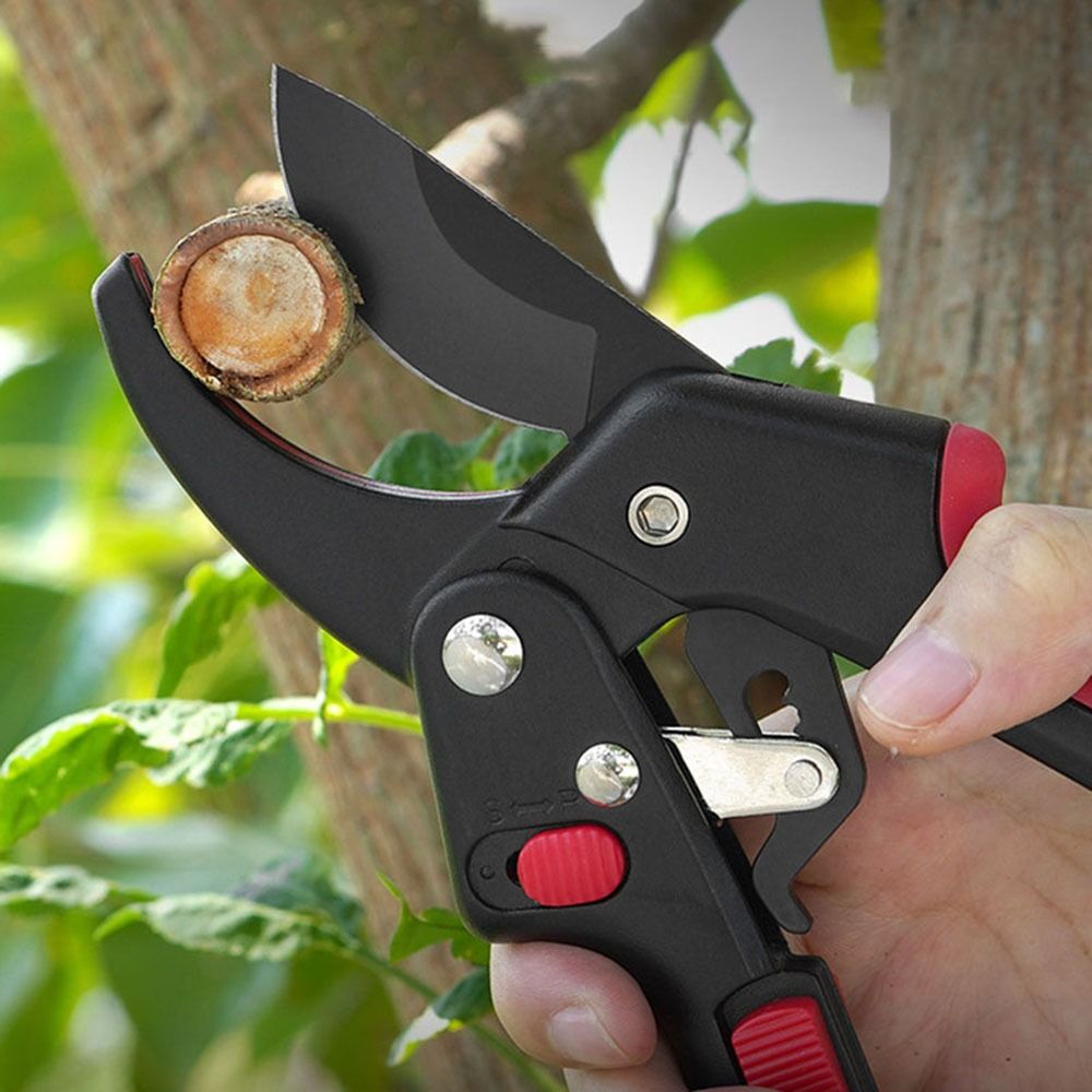 Gunting Pangkas Tanaman Ratche - Gardening Tools Sharp ulasan dan harga
