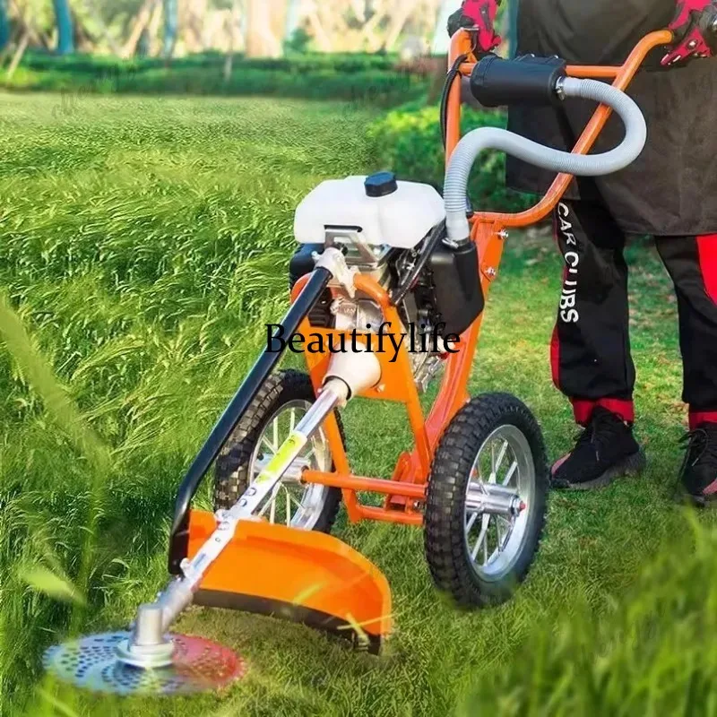 Mesin pemotong rumput dorong L - Gardening Tools And Equipment ulasan dan harga