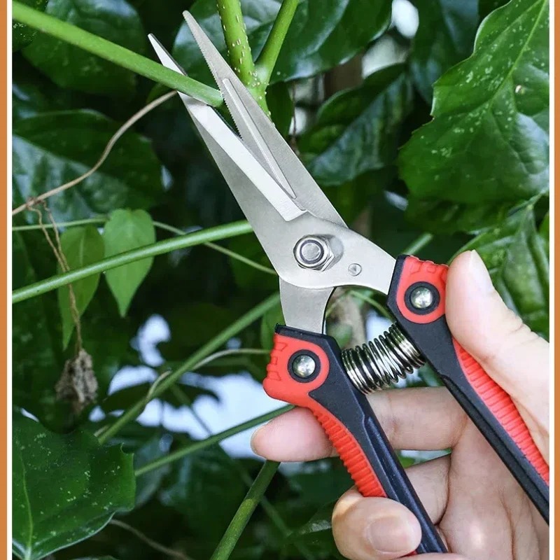 Gunting Pangkas NEWSHARK Bahan - Gardening Tools Sharp ulasan dan harga