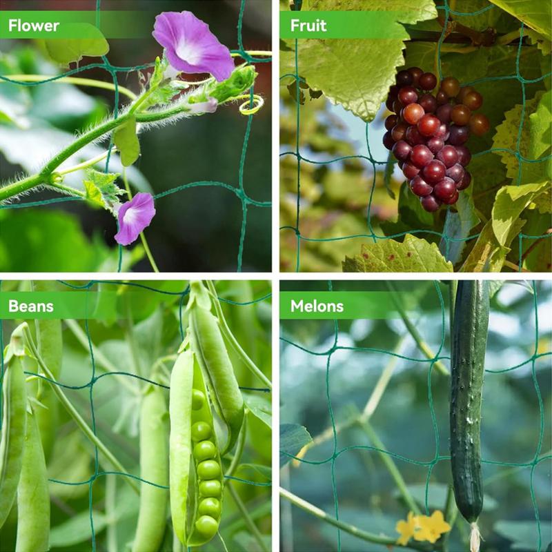 Jaring teralis untuk tanaman m - Plant Support Stake ulasan dan harga