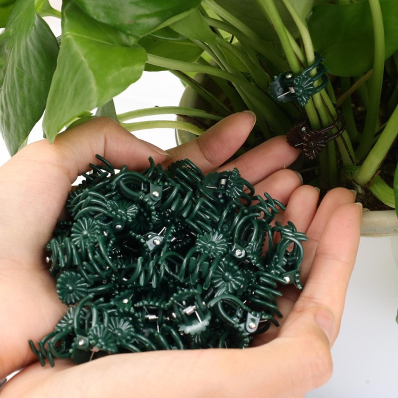 Klip Penyangga Tanaman Mini Gr - Gardening Tools Wholesale ulasan dan harga