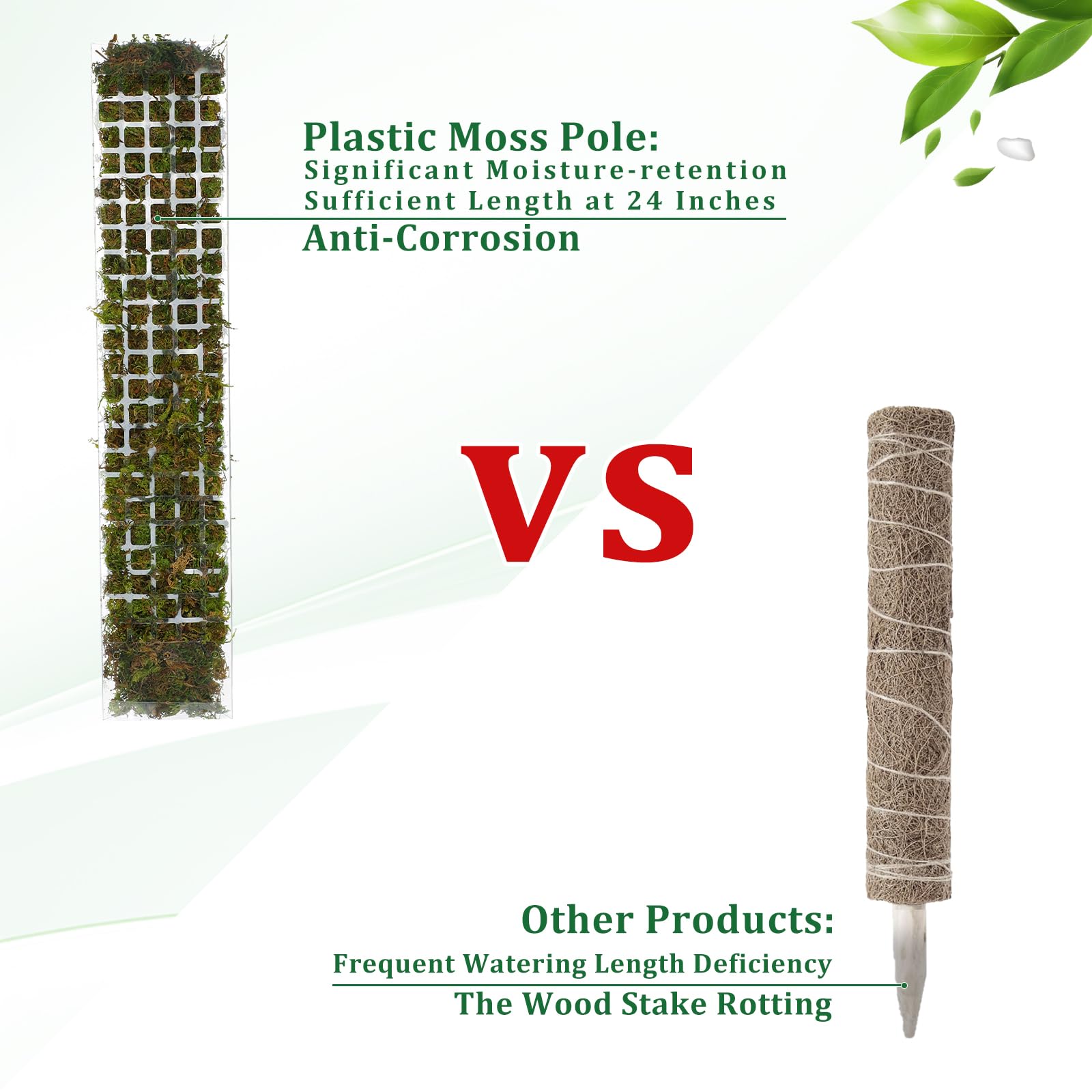 Lumut tiang tanaman plastik be - Plant Support Stake ulasan dan harga