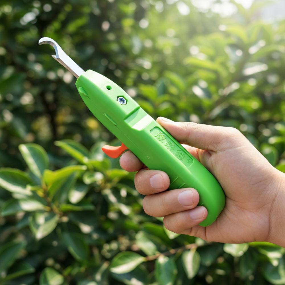 Gunting Pemetik Buah dan Sayur - Gardening Tools Wholesale ulasan dan harga