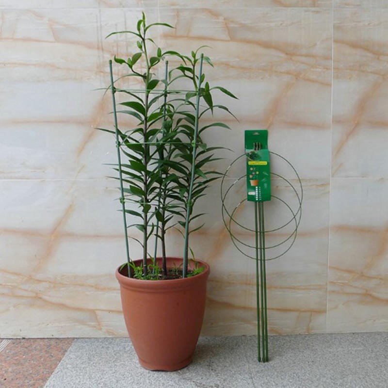 1/3/9 Pcs/set Penyangga Tanama - Plant Support Stake ulasan dan harga