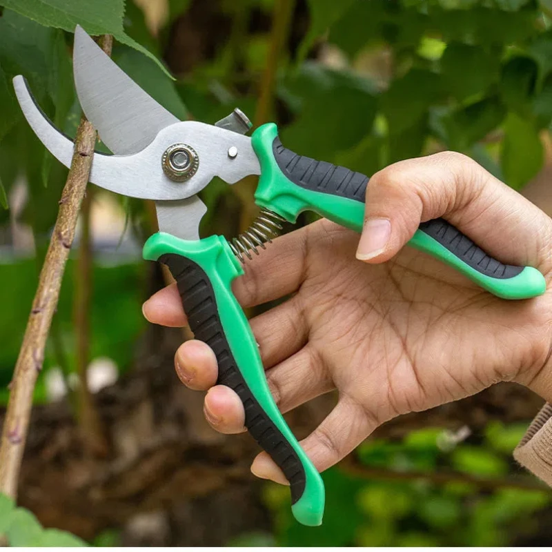 Gunting Pemangkas Taman Profes - Gardening Tools Sharp ulasan dan harga