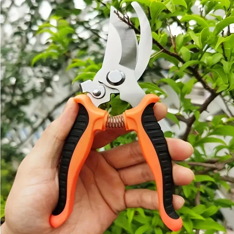 Gunting Pemangkas Taman Profes - Gardening Tools Sharp ulasan dan harga