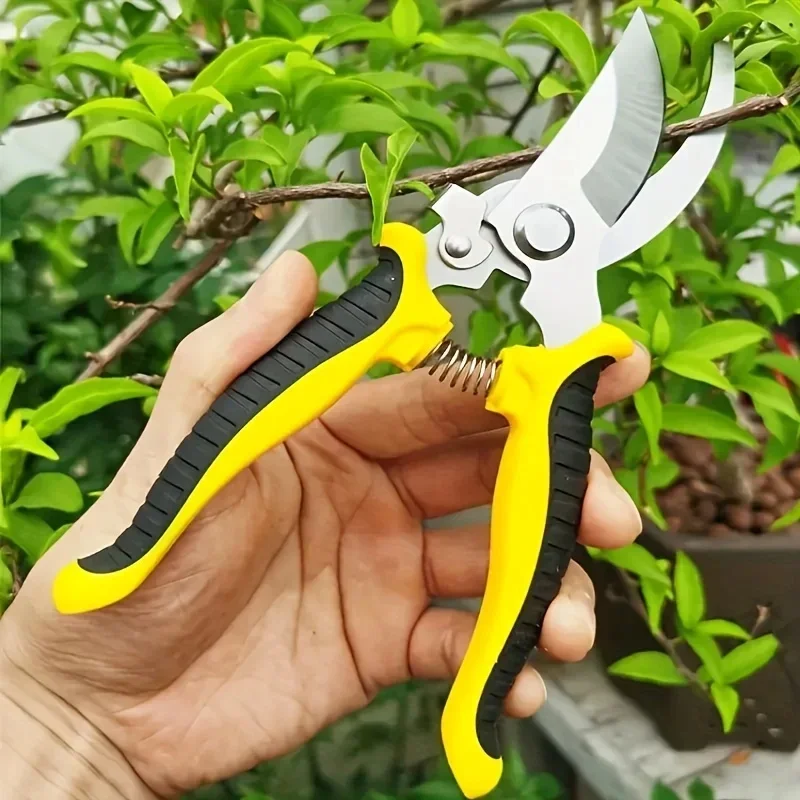 Gunting Pemangkas Taman Profes - Gardening Tools Sharp ulasan dan harga