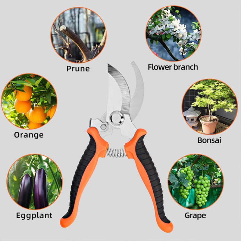Gunting Kebun Pegangan Ergonom - Gardening Tools Sharp ulasan dan harga