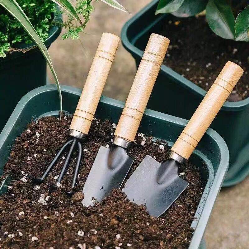 3 Buah/1Set Set Alat Berkebun  - Gardening Tools Wholesale ulasan dan harga
