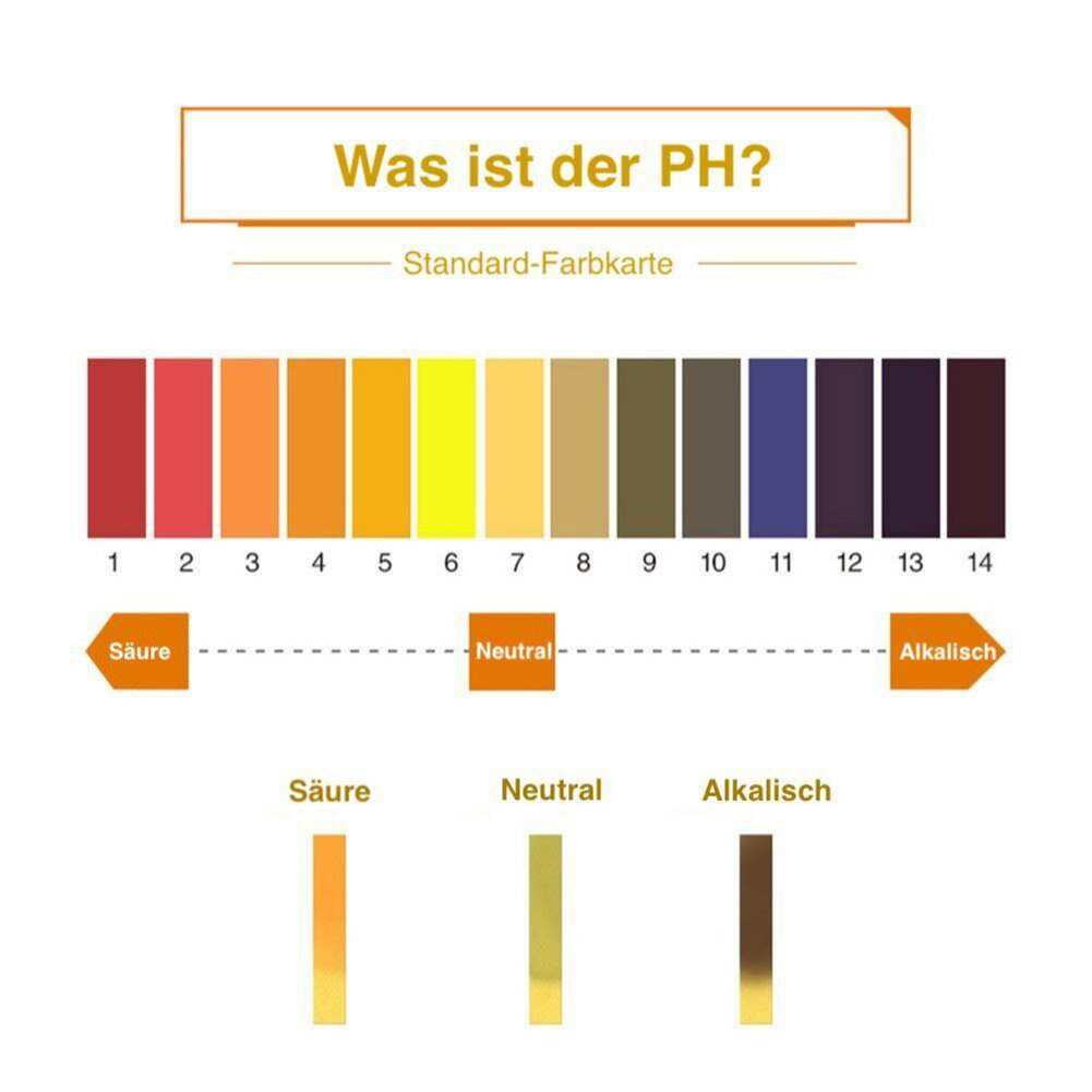 Merek Baru Kualitas Tinggi Pra - Gardening Tools Quality ulasan dan harga