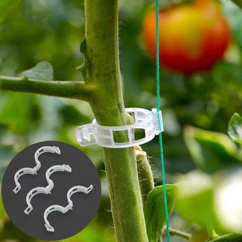 Penjepit Tanaman Taman Plastik - Gardening Tools Wholesale ulasan dan harga