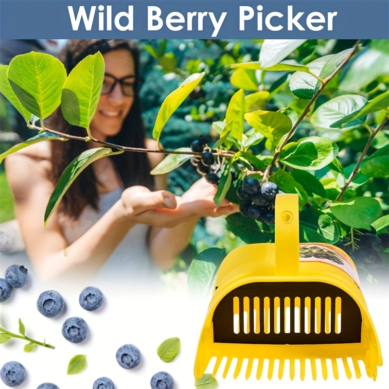 Alat Pemetik Blueberry Mudah D - Gardening Tools Rake ulasan dan harga