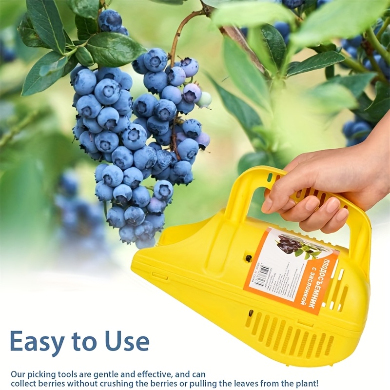 Alat Pemetik Blueberry Mudah D - Gardening Tools Rake ulasan dan harga