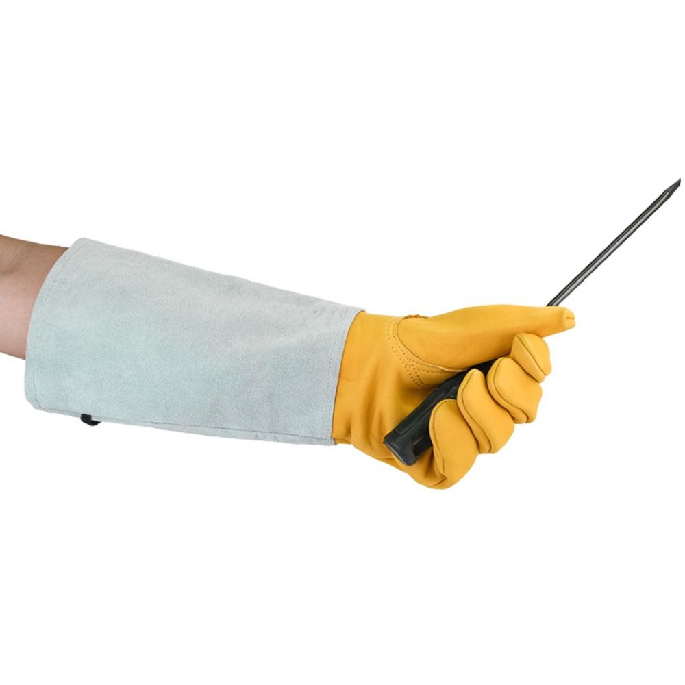 Sarung Tangan Berkebun Anti Du - Garden Gloves Thorn Proof ulasan dan harga