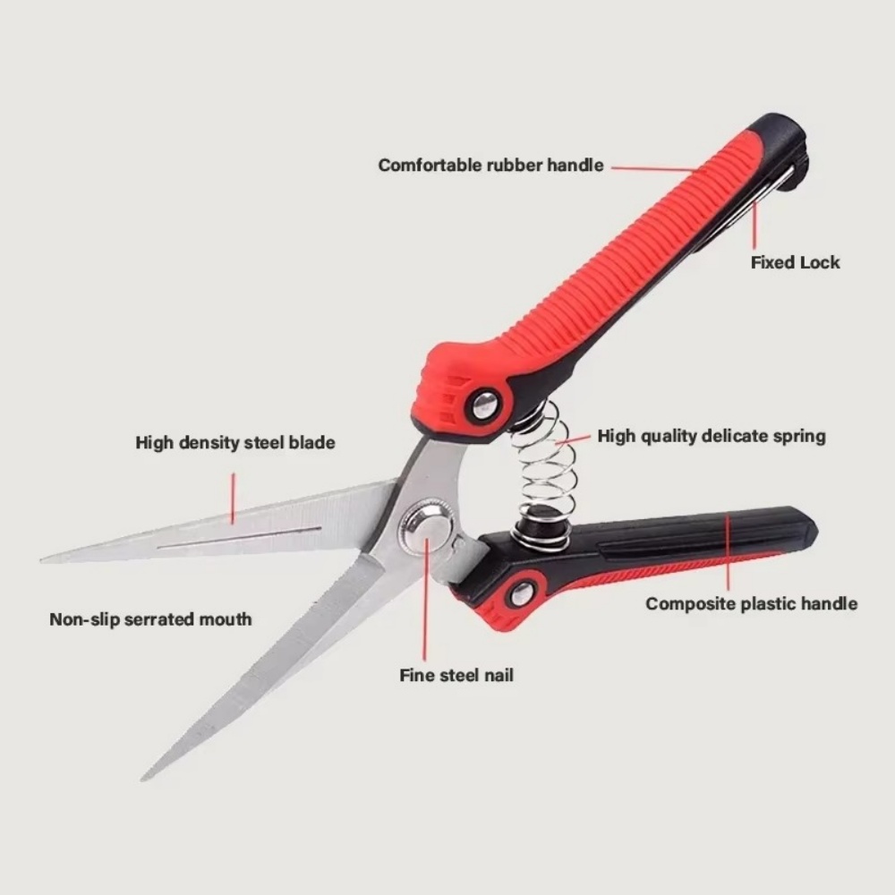 Gunting Cabang Profesional dar - Gardening Tools Sharp ulasan dan harga