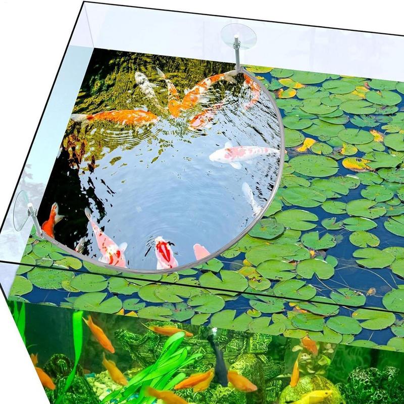 Cincin Makan Ikan Karang Tanam - Aquaponics Fish Tank ulasan dan harga