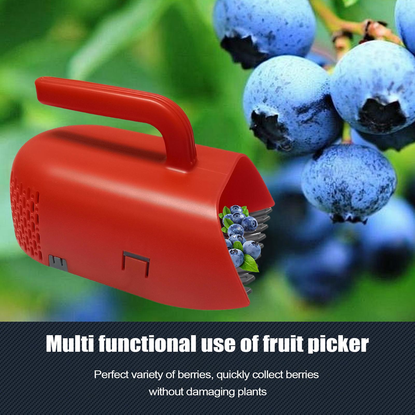 Alat Pemetik Berry dengan Gaga - Gardening Tools Rake ulasan dan harga