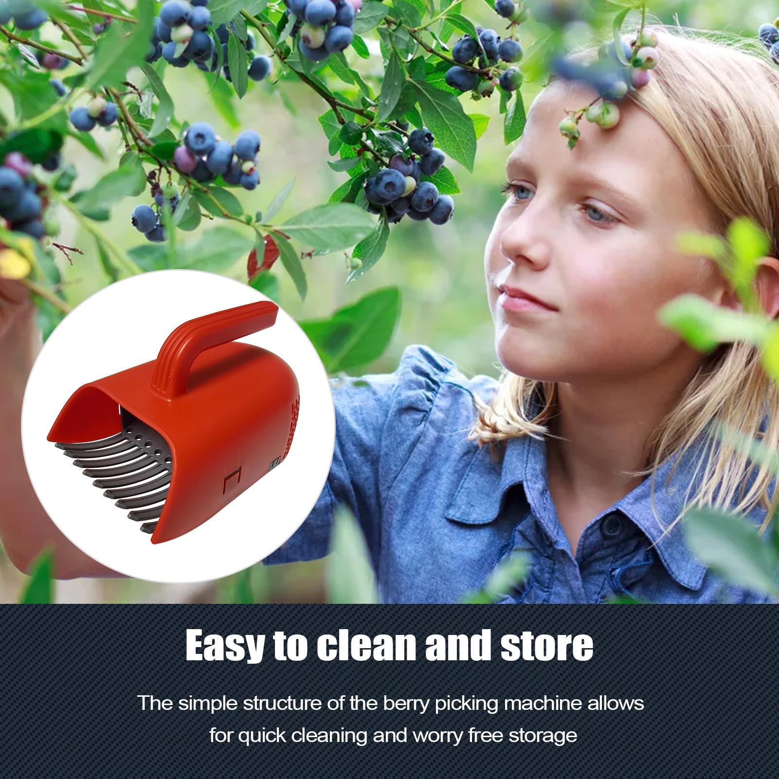Alat Pemetik Berry dengan Gaga - Gardening Tools Rake ulasan dan harga