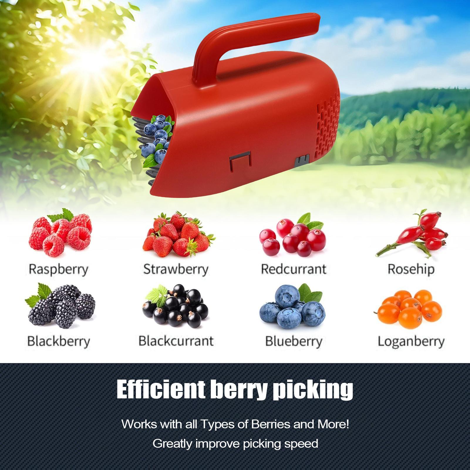 Alat Pemetik Berry dengan Gaga - Gardening Tools Rake ulasan dan harga
