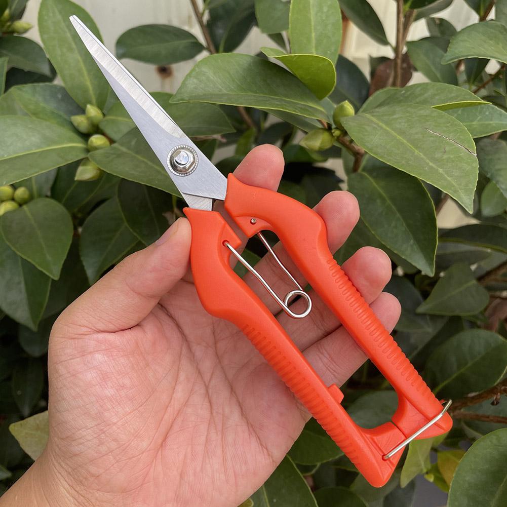 Gunting Pangkas Taman Pro Gard - Gardening Tools Wholesale ulasan dan harga