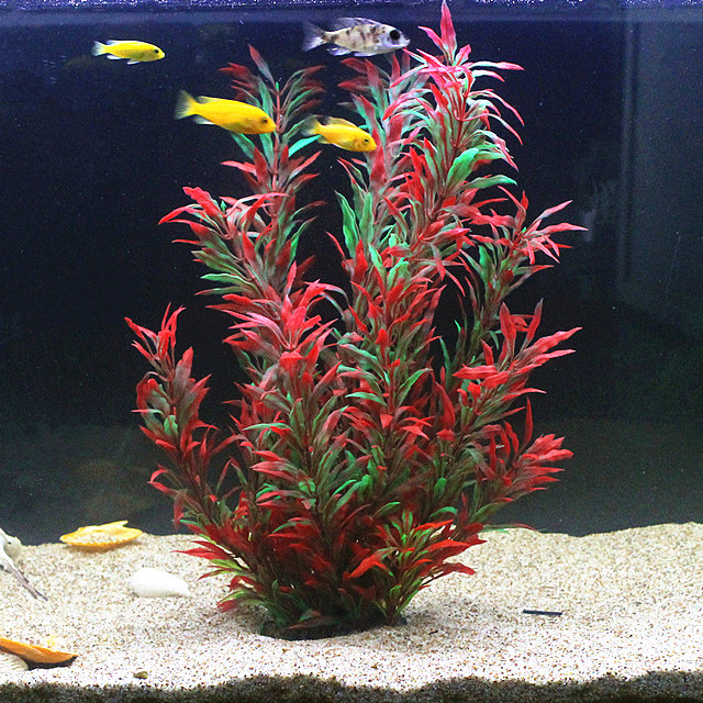50CM Kolam Ikan Buatan Tanaman - Aquaponics Fish Tank ulasan dan harga