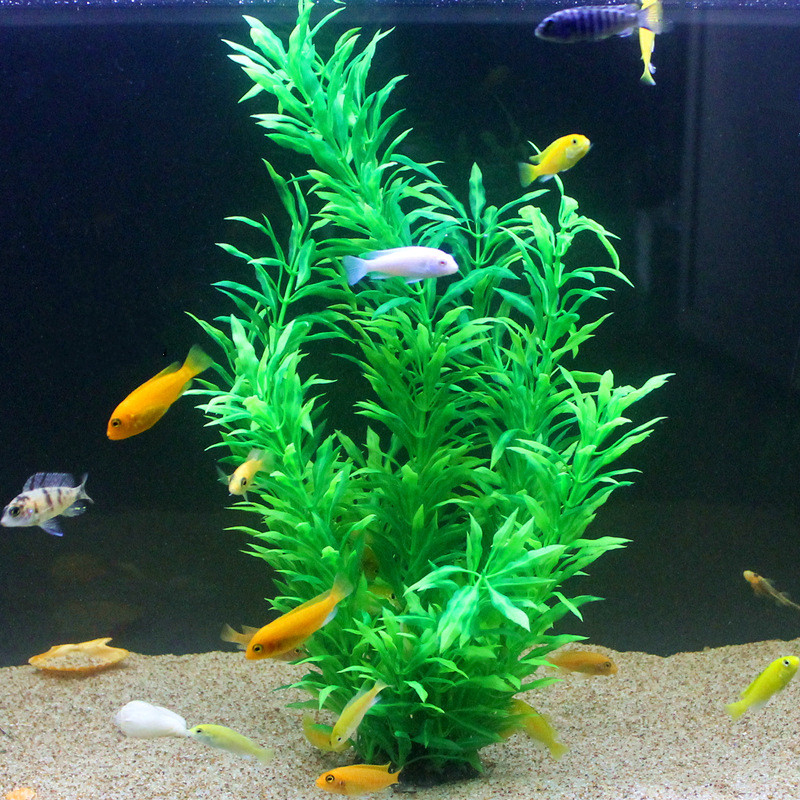 50CM Kolam Ikan Buatan Tanaman - Aquaponics Fish Tank ulasan dan harga