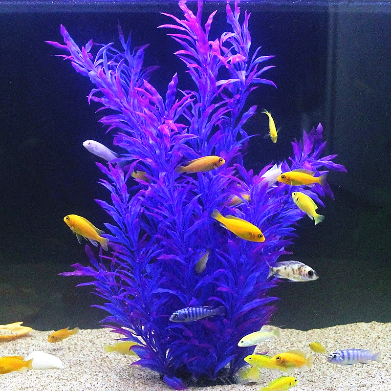 50CM Kolam Ikan Buatan Tanaman - Aquaponics Fish Tank ulasan dan harga
