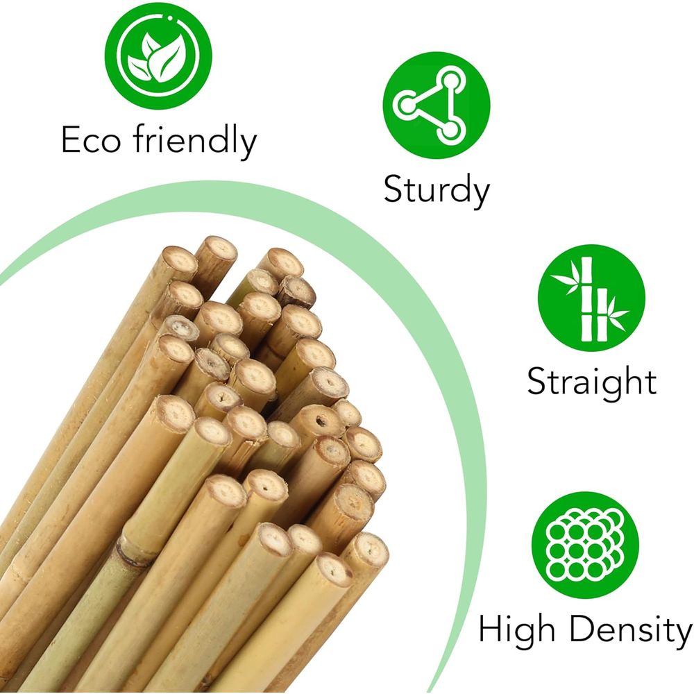 Set 55 Penyangga Tanaman Bambu - Plant Support Stake ulasan dan harga