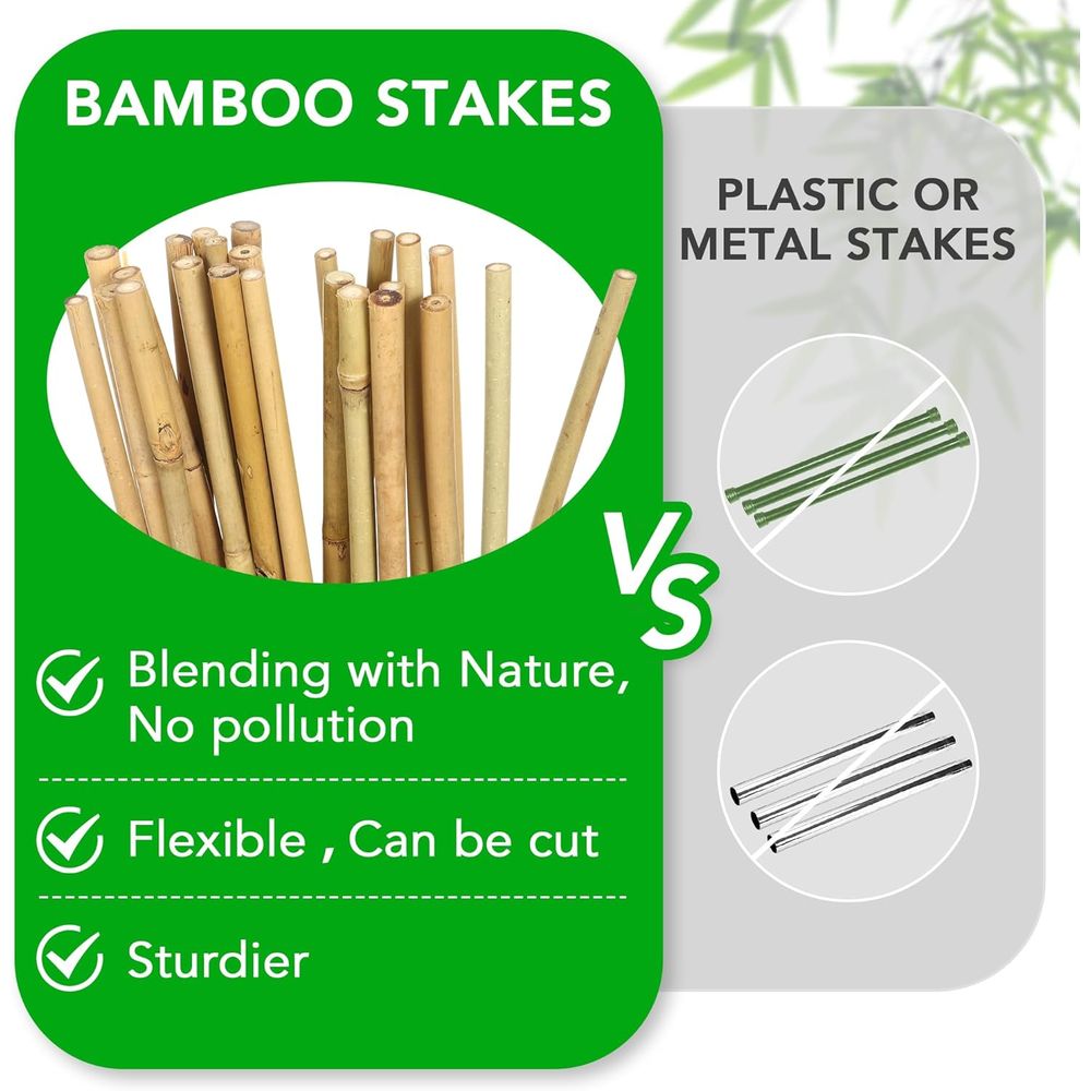 Set 55 Penyangga Tanaman Bambu - Plant Support Stake ulasan dan harga