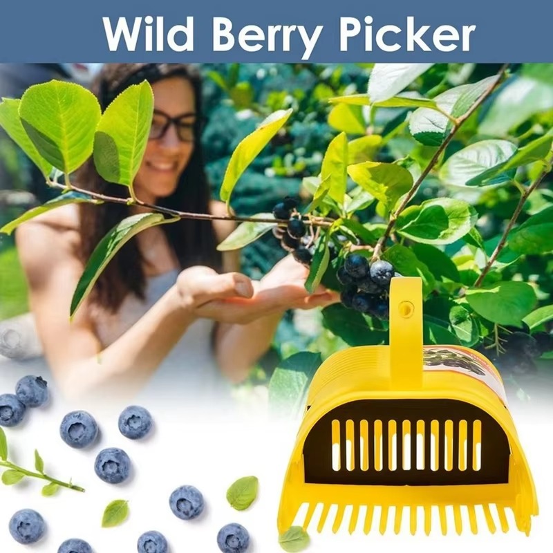 Blueberry Picker Berry Picker  - Gardening Tools Rake ulasan dan harga
