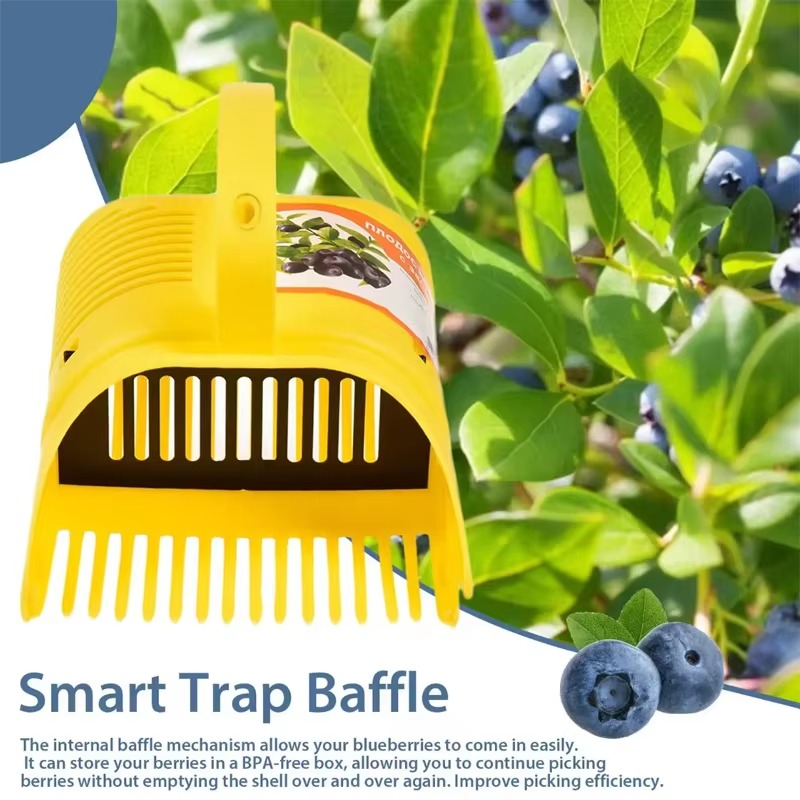 Blueberry Picker Berry Picker  - Gardening Tools Rake ulasan dan harga